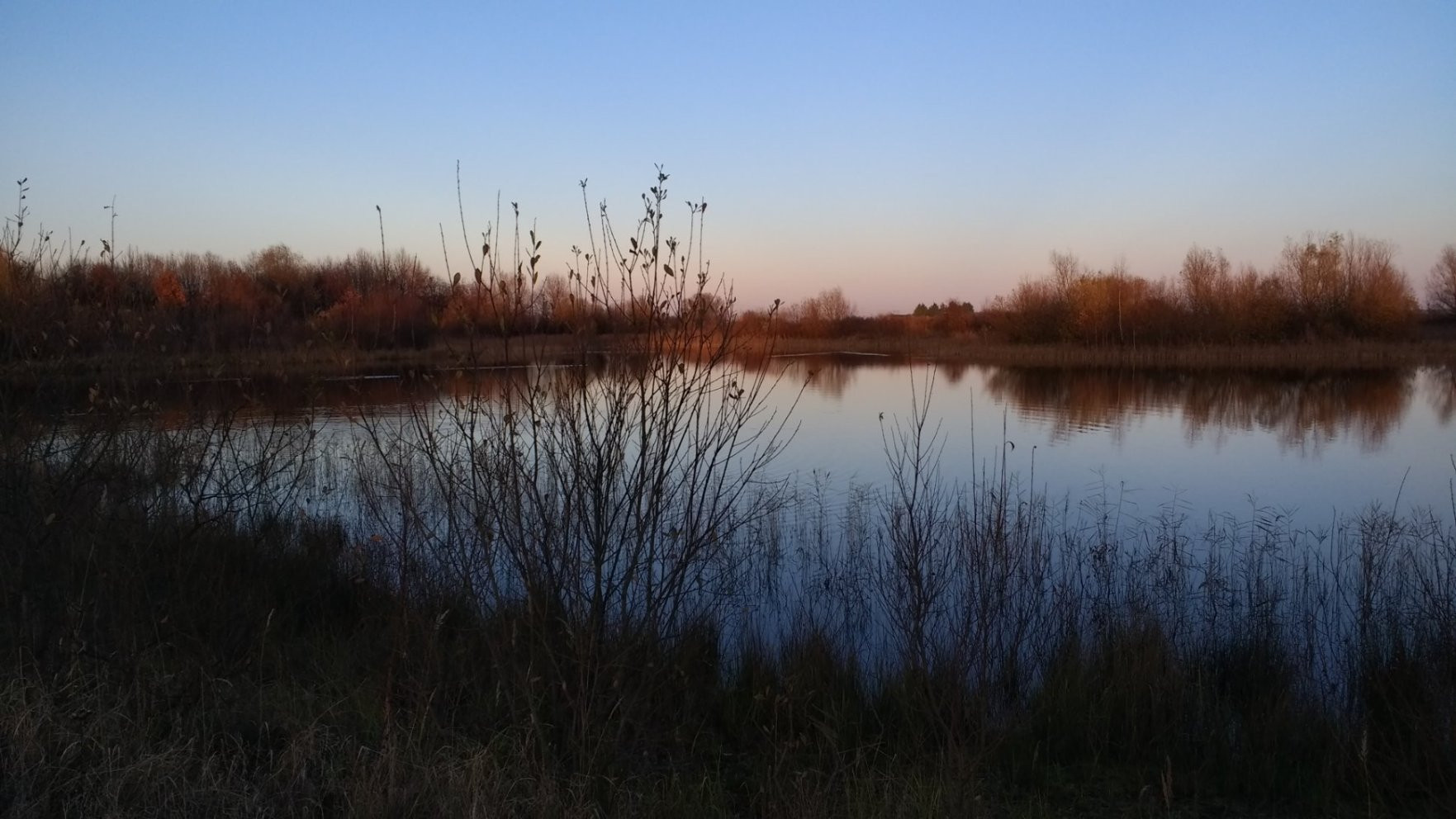 Wetland as dusk