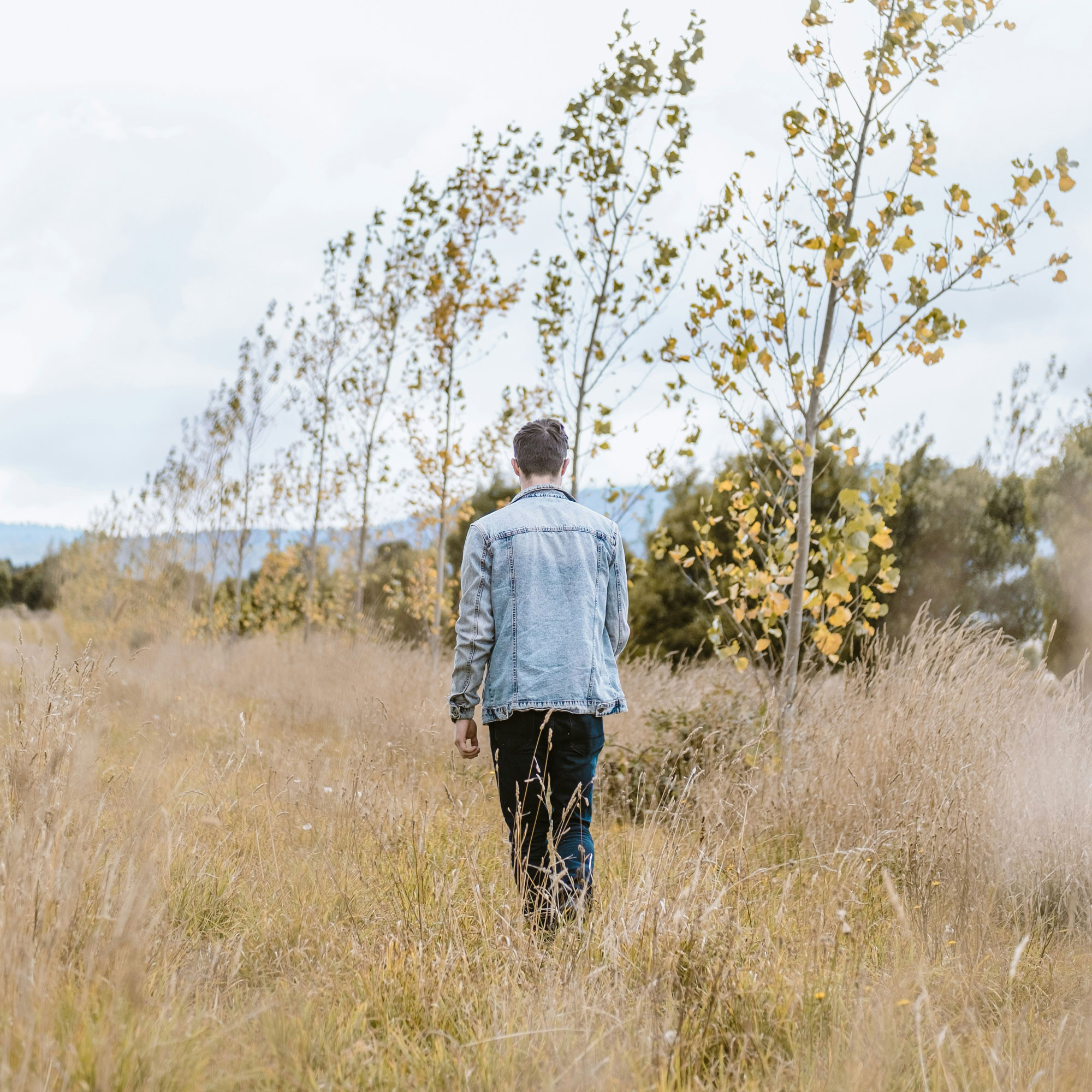 Landowner walking through field with newly planted trees
